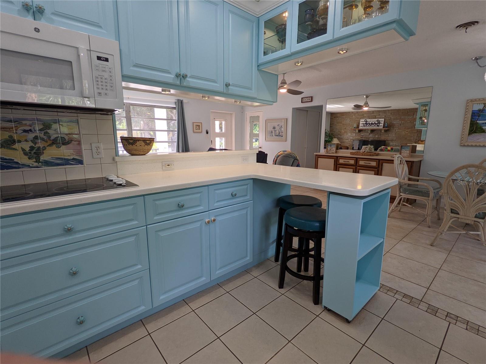 203 CANOVA DR, NEW SMYRNA BEACH, FL, 32169