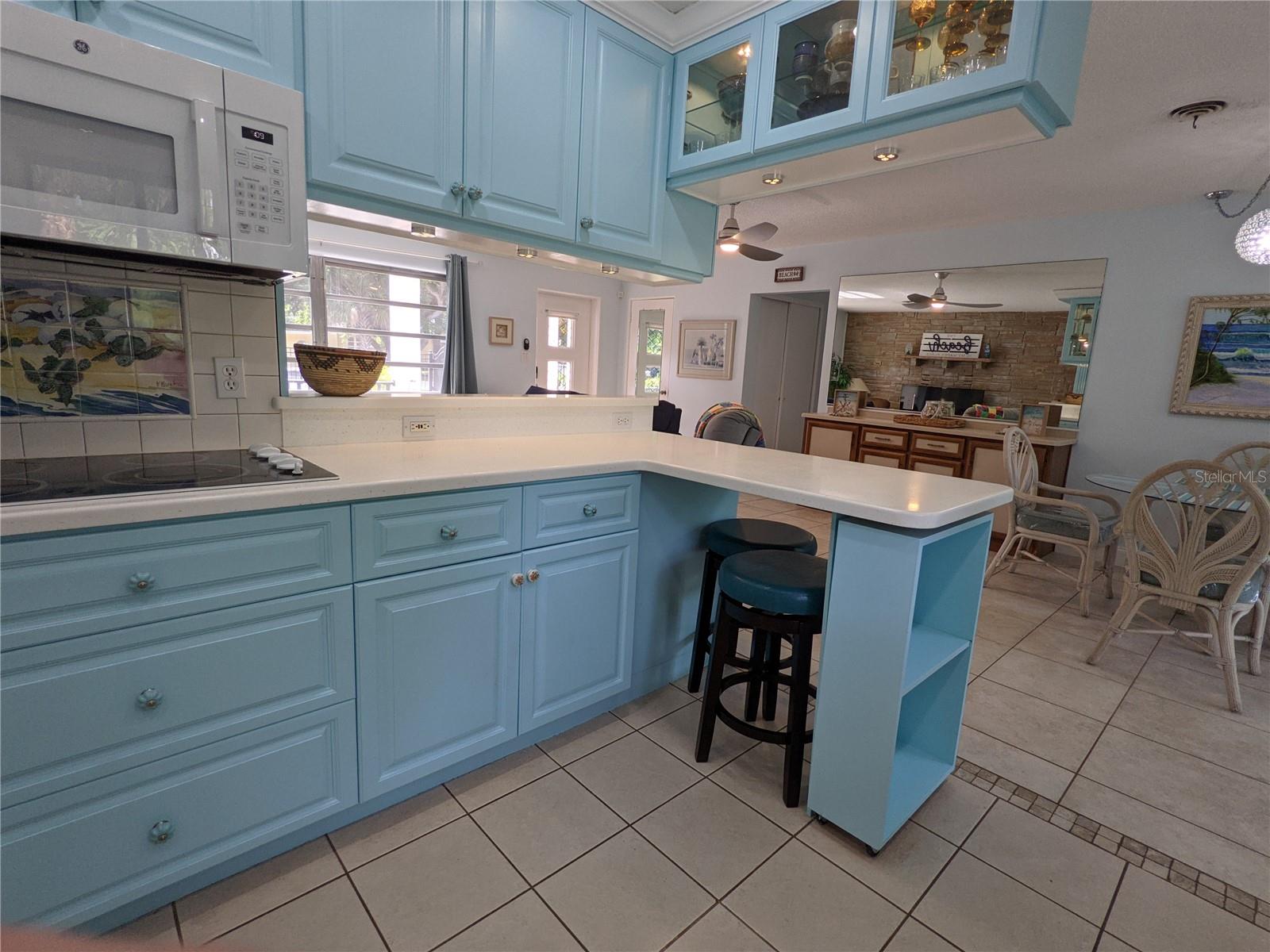 203 CANOVA DR, NEW SMYRNA BEACH, FL, 32169