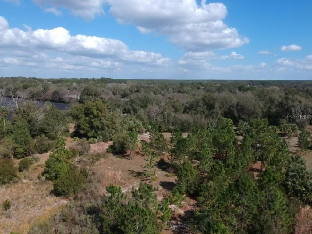 0 Crooked Mile RD, PAISLEY, FL, 32767