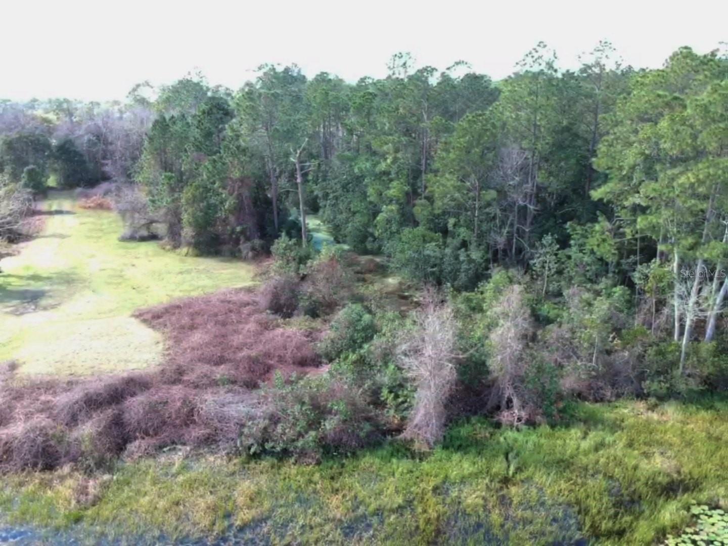 0 Gracie DR, PAISLEY, FL, 32767