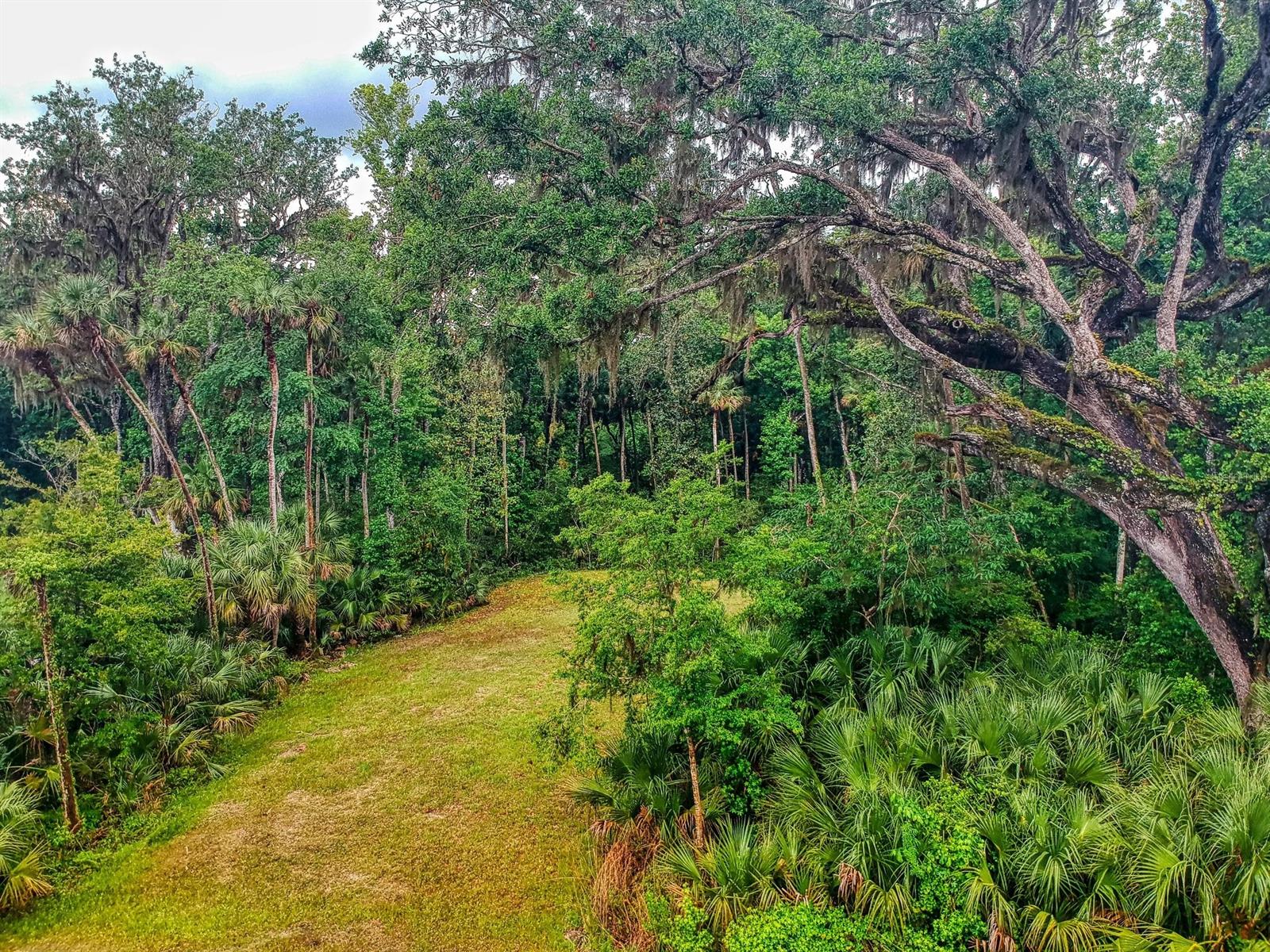 2329 Legacy LN, NEW SMYRNA BEACH, FL, 32168