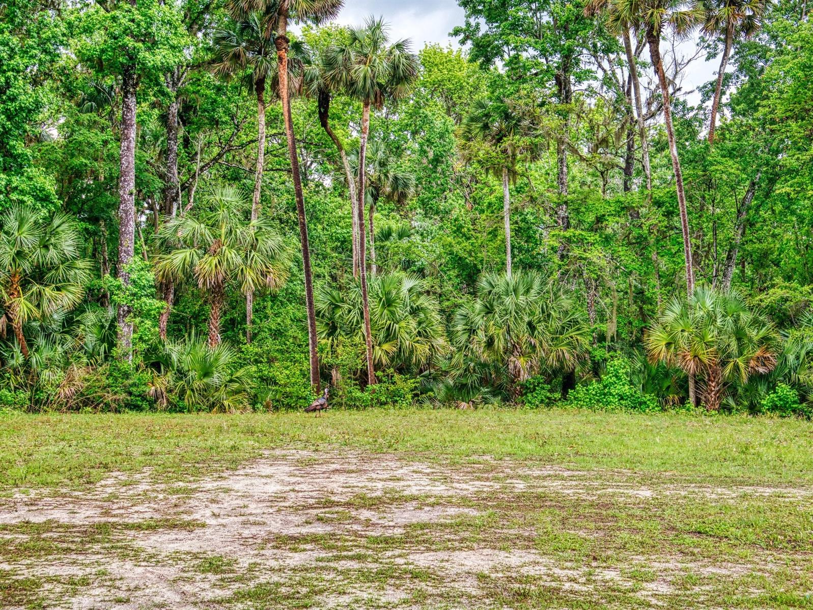 2329 Legacy LN, NEW SMYRNA BEACH, FL, 32168