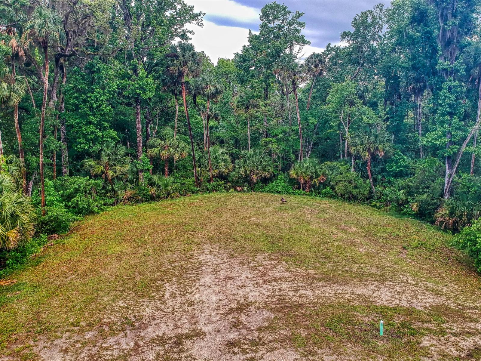 2329 Legacy LN, NEW SMYRNA BEACH, FL, 32168