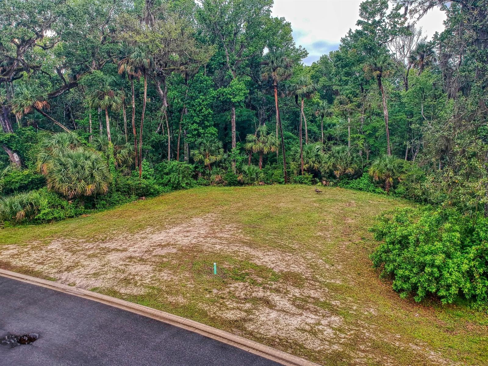 2329 Legacy LN, NEW SMYRNA BEACH, FL, 32168