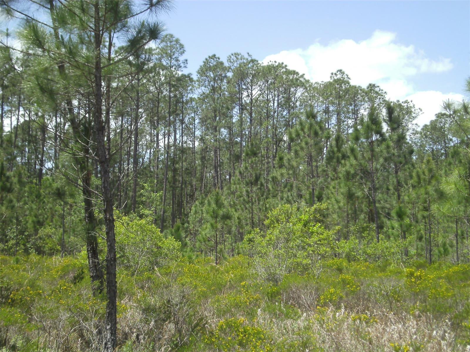 4739 Kola RD, NEW SMYRNA BEACH, FL, 32168
