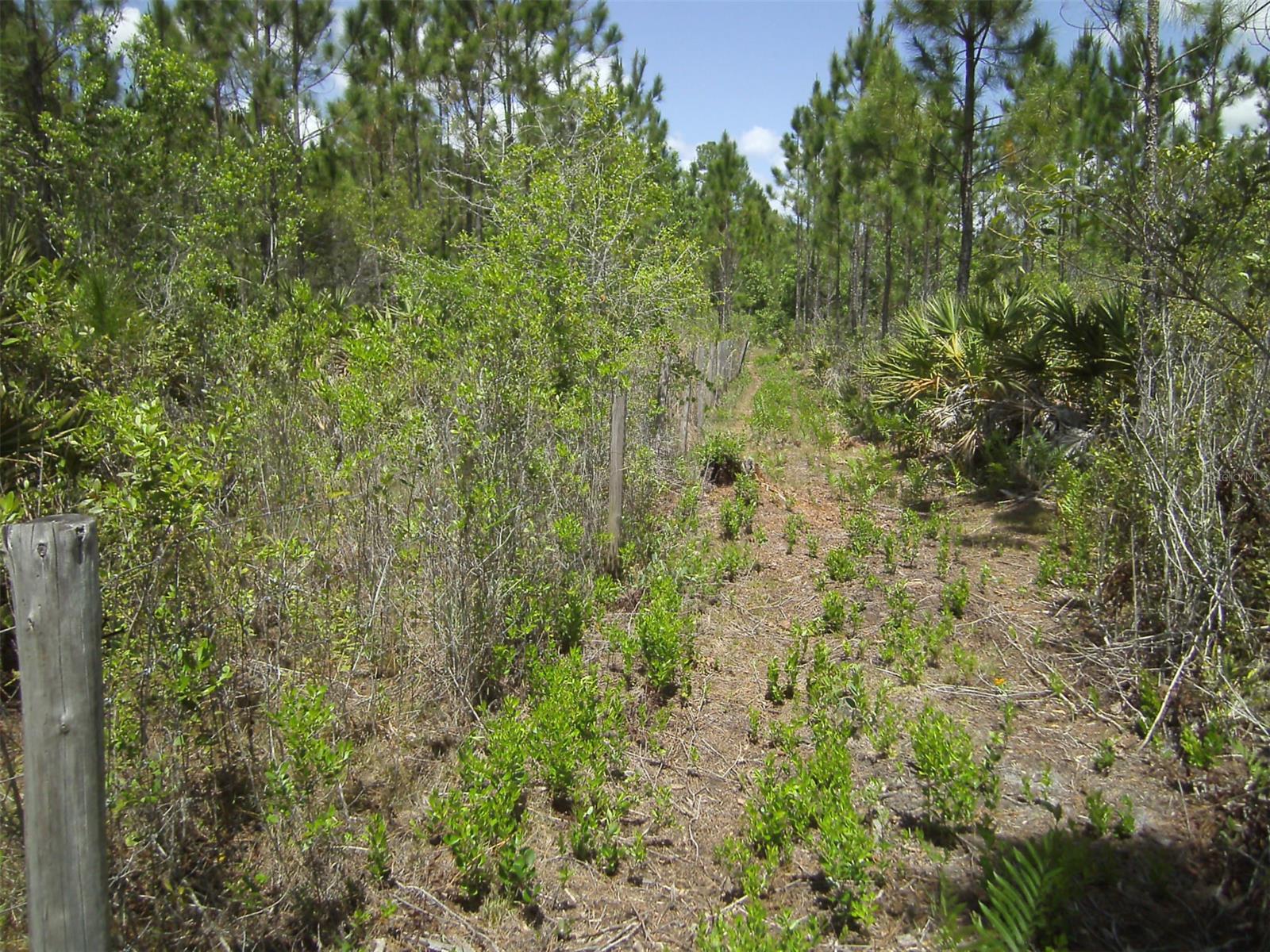 4739 Kola RD, NEW SMYRNA BEACH, FL, 32168