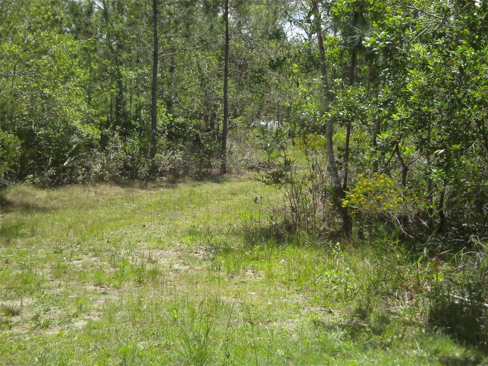 4739 Kola RD, NEW SMYRNA BEACH, FL, 32168