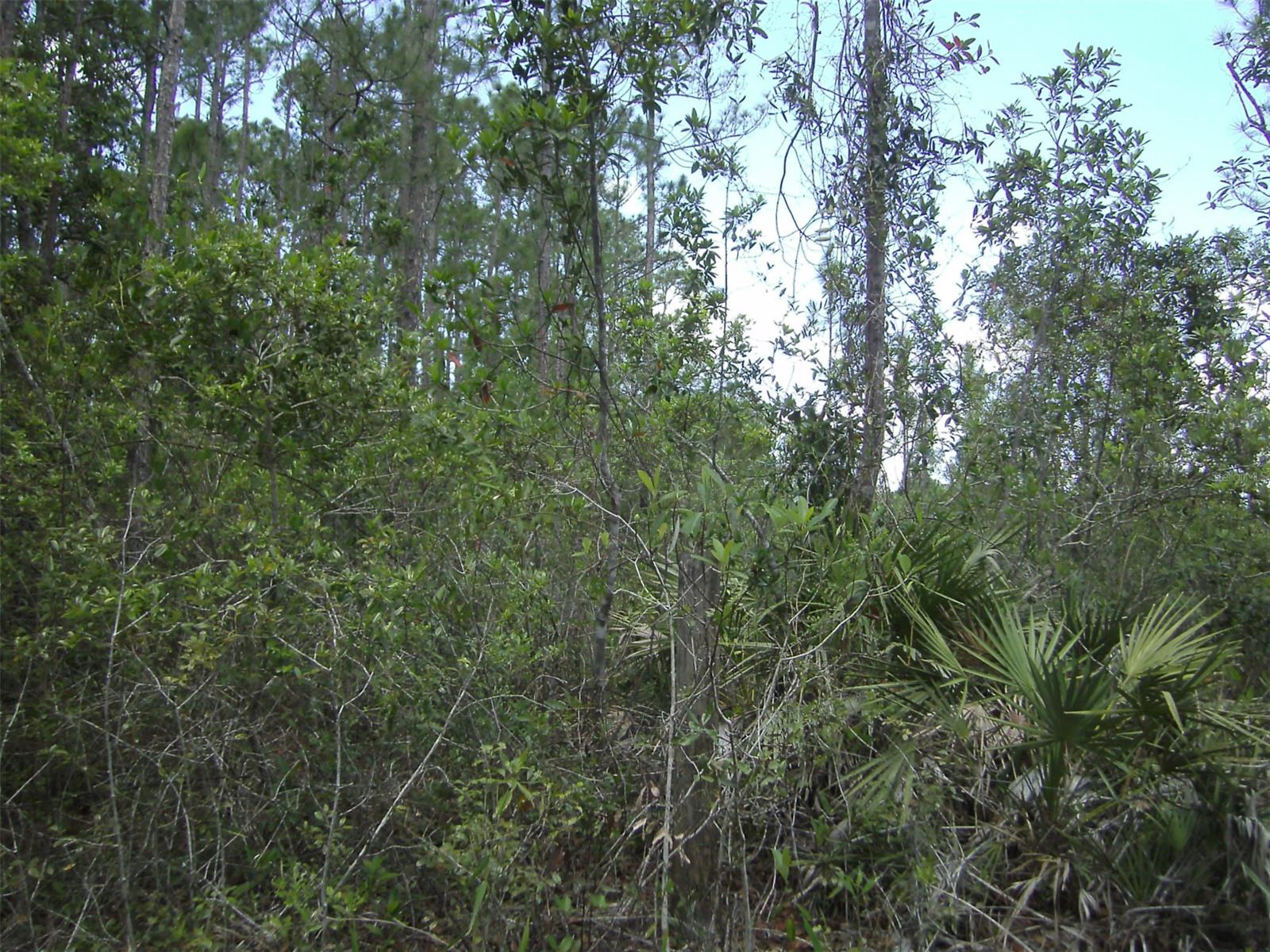 4739 Kola RD, NEW SMYRNA BEACH, FL, 32168