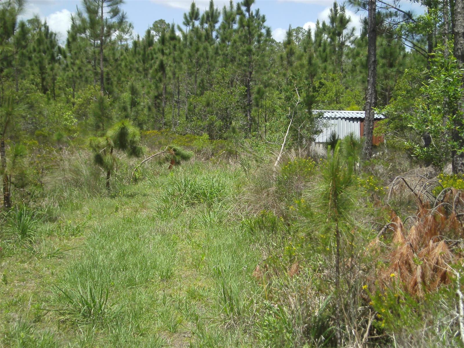 4739 Kola RD, NEW SMYRNA BEACH, FL, 32168
