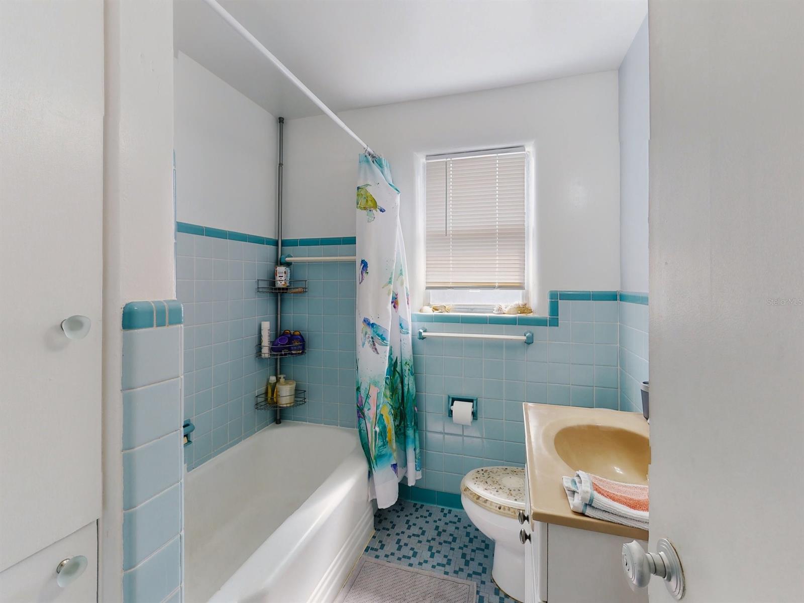 603 N Pine ST, NEW SMYRNA BEACH, FL, 32169