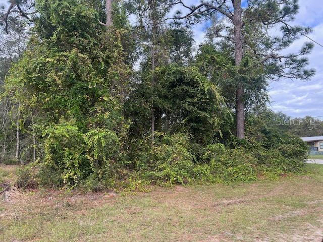 TBD SE 106TH CT, OCKLAWAHA, FL, 32179