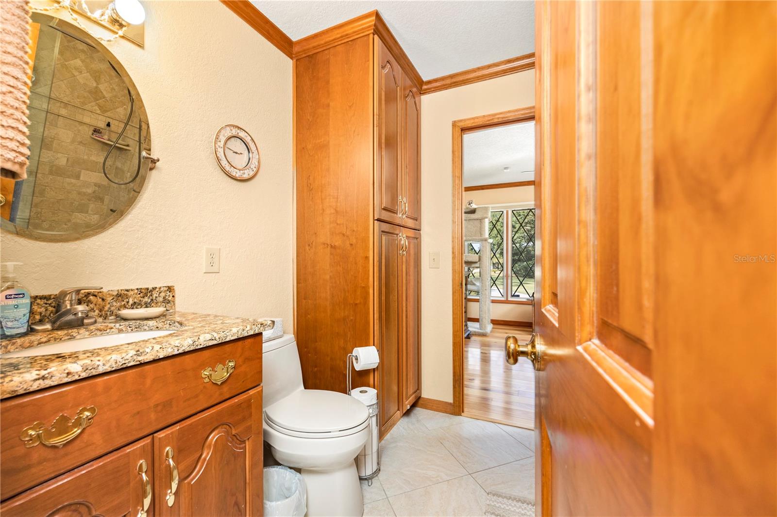 3897 SW PINEMOUNT RD, LAKE CITY, FL, 32024