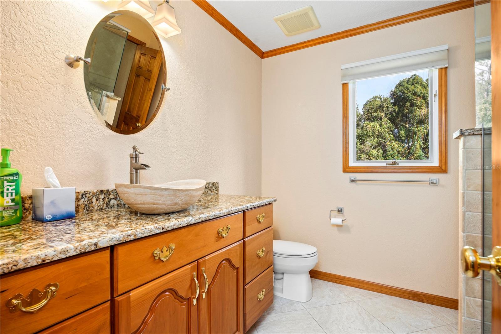 3897 SW PINEMOUNT RD, LAKE CITY, FL, 32024