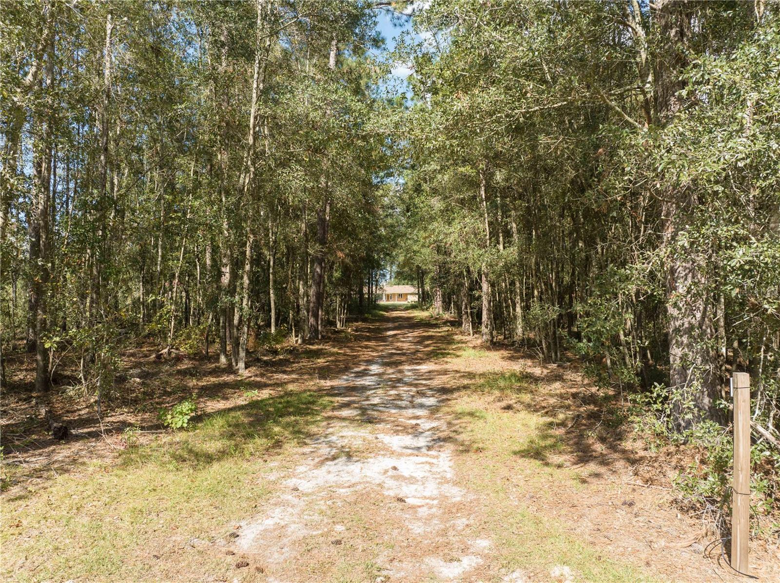 3897 SW PINEMOUNT RD, LAKE CITY, FL, 32024