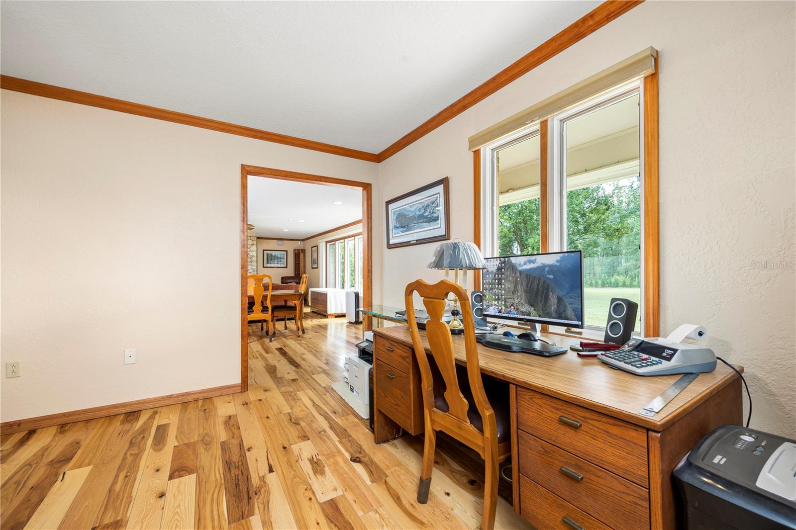 3897 SW PINEMOUNT RD, LAKE CITY, FL, 32024