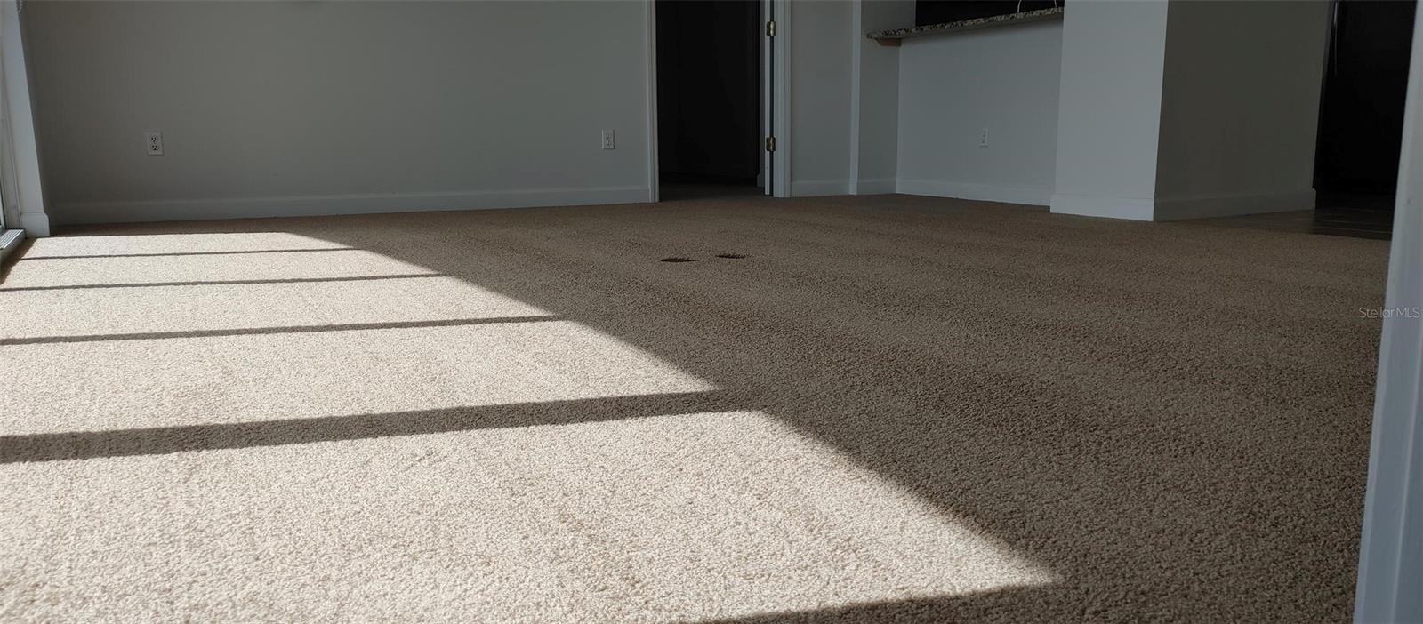 345 BAYSHORE BLVD #914, TAMPA, FL, 33606