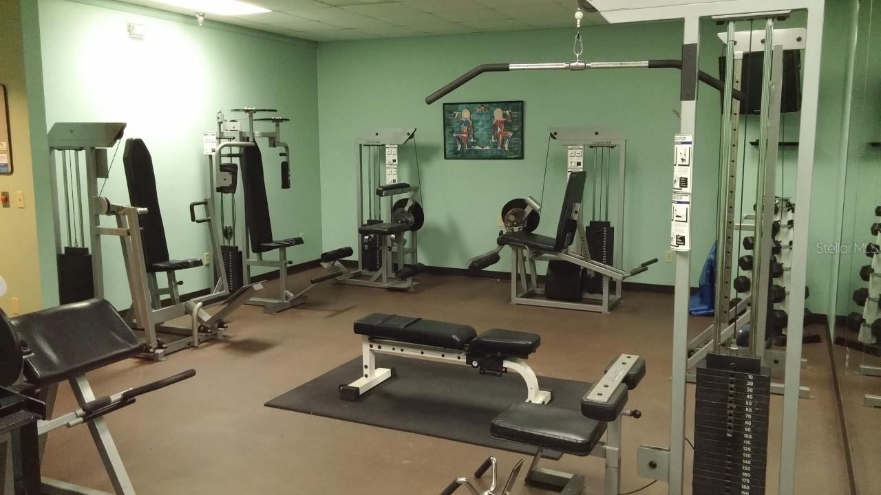 345 BAYSHORE BLVD #914, TAMPA, FL, 33606