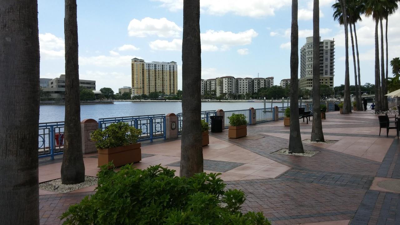 345 BAYSHORE BLVD #914, TAMPA, FL, 33606