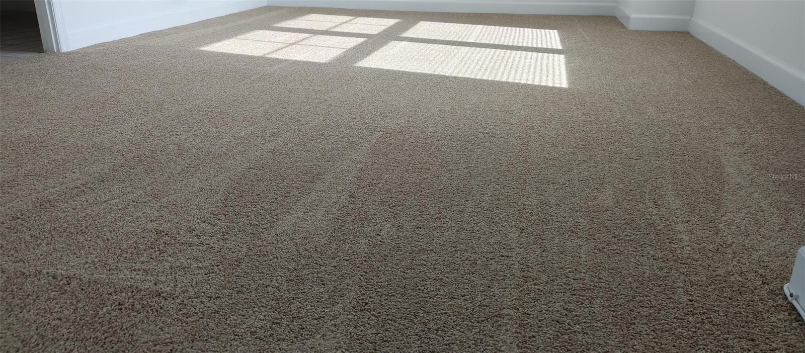 345 BAYSHORE BLVD #914, TAMPA, FL, 33606