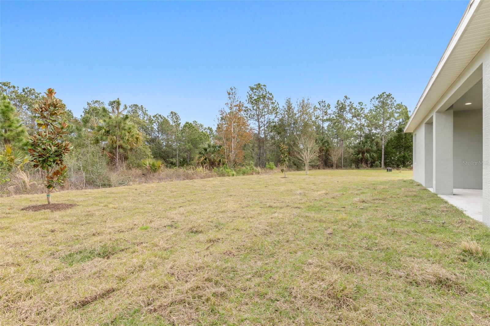 385 UNDERWOOD TRL, PALM COAST, FL, 32164