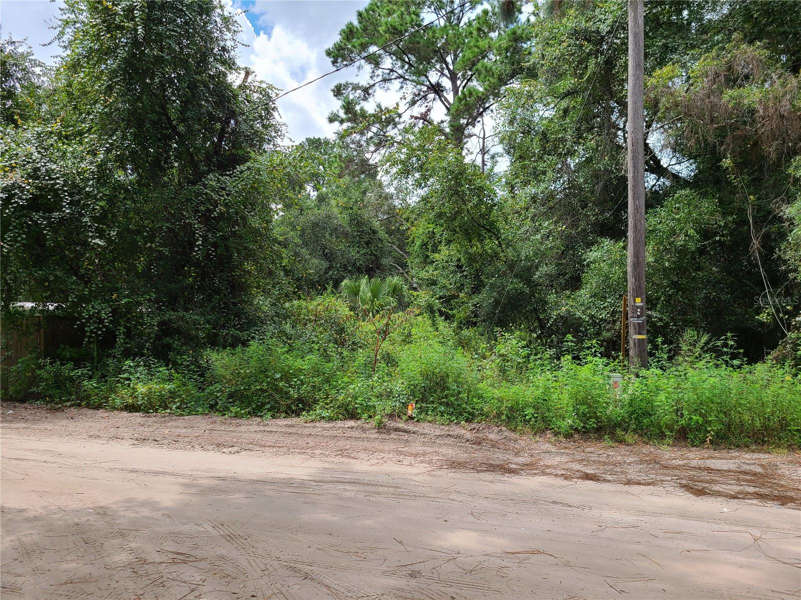 0 SE 191ST TER, OCKLAWAHA, FL, 32179