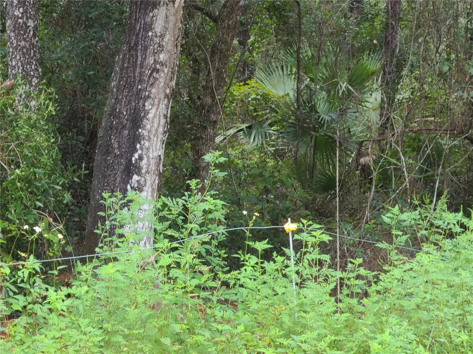 0 SE 191ST TER, OCKLAWAHA, FL, 32179