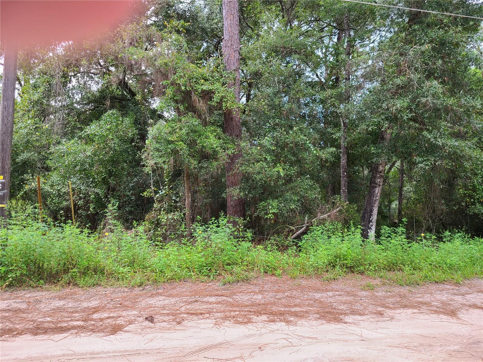 0 SE 191ST TER, OCKLAWAHA, FL, 32179