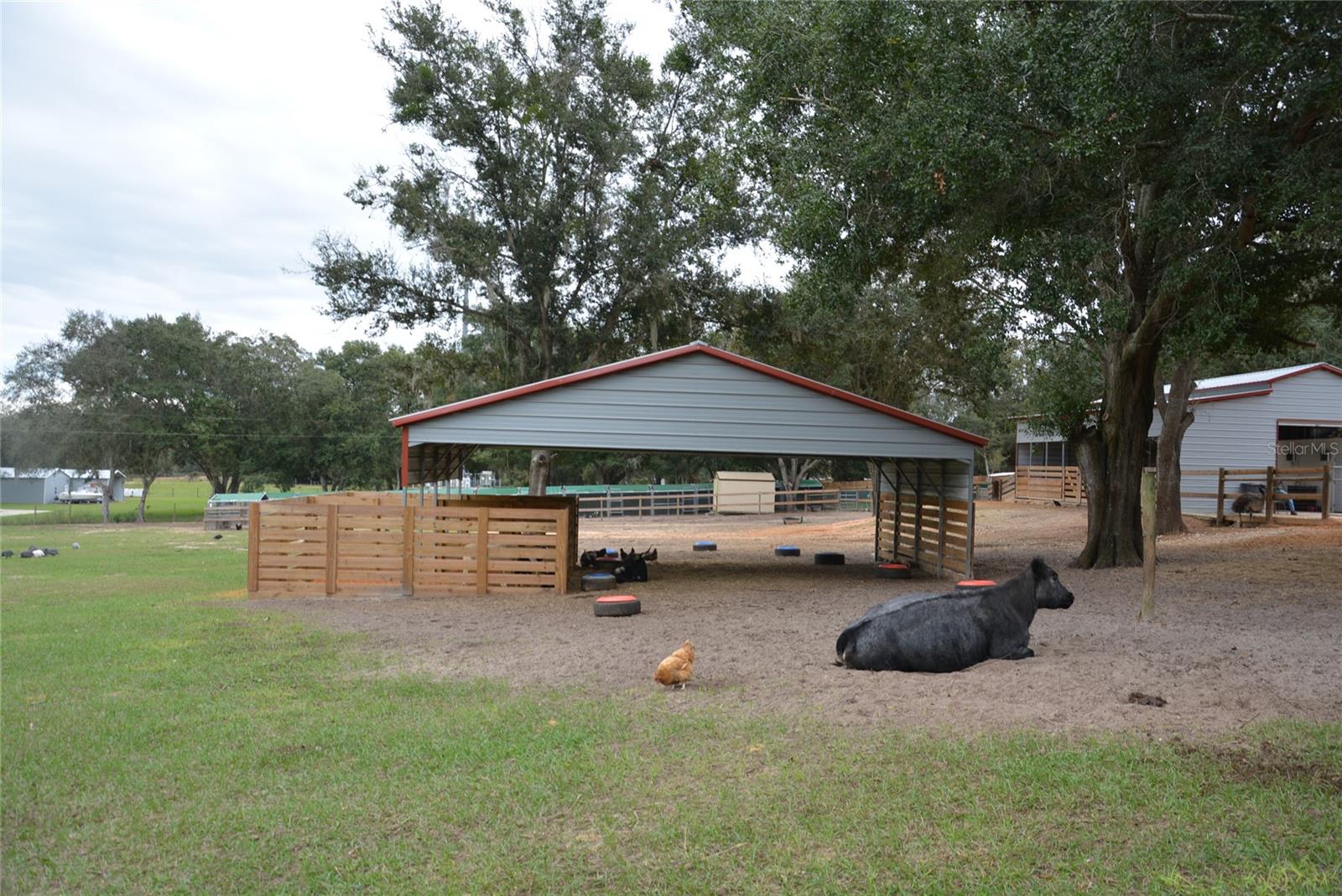 3816 LAKE BRITE ST, GROVELAND, FL, 34736