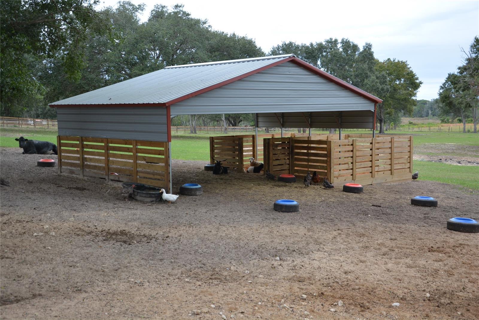 3816 LAKE BRITE ST, GROVELAND, FL, 34736