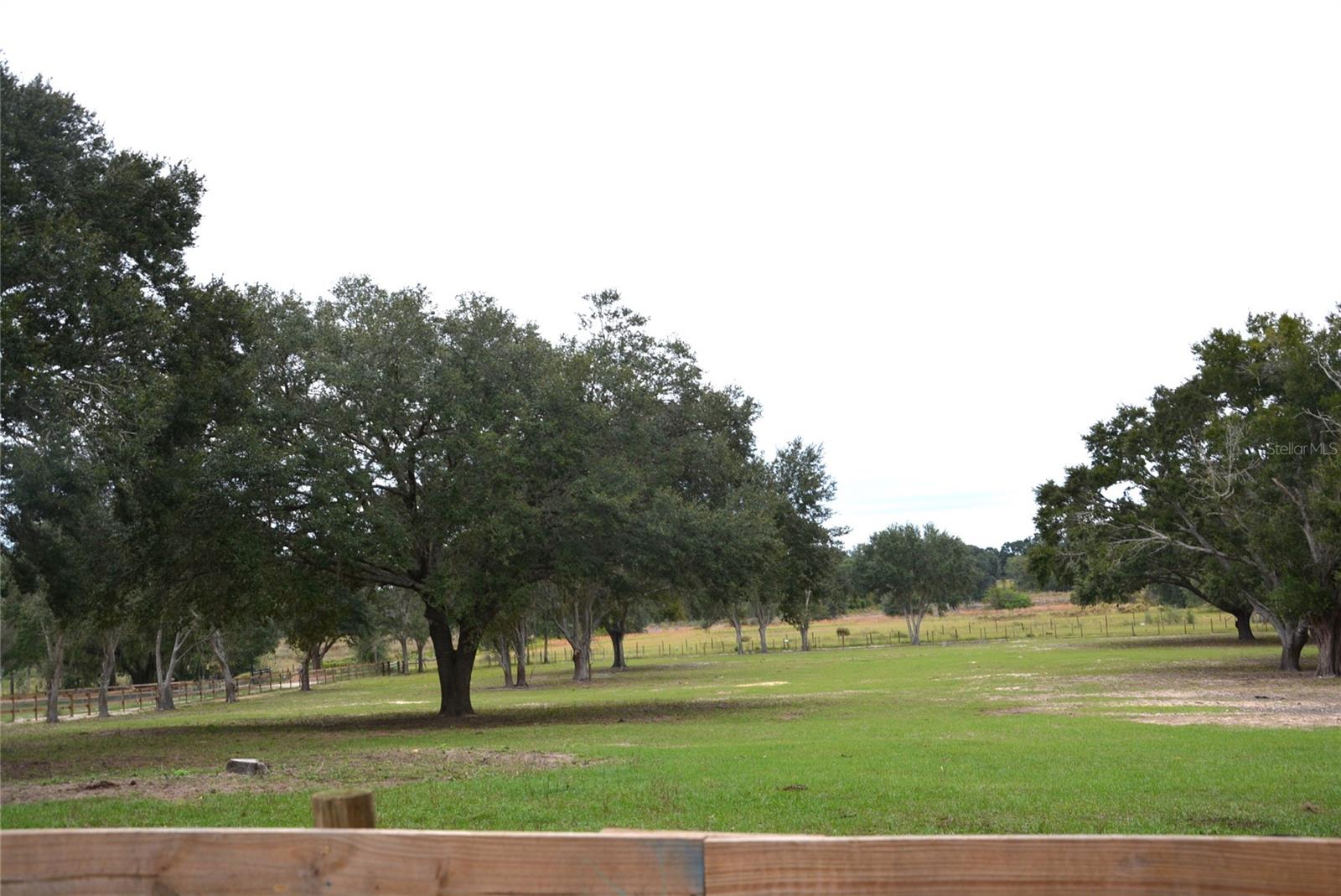 3816 LAKE BRITE ST, GROVELAND, FL, 34736