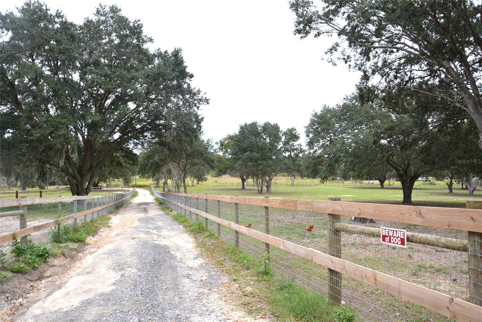 3816 LAKE BRITE ST, GROVELAND, FL, 34736