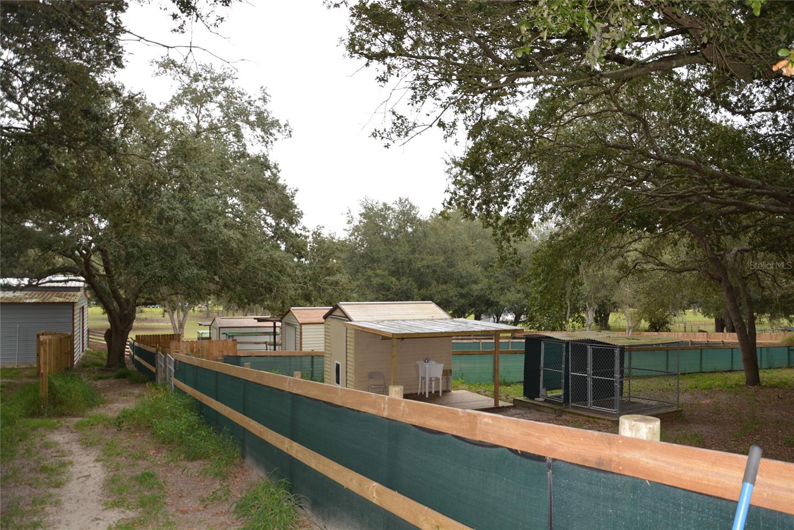 3816 LAKE BRITE ST, GROVELAND, FL, 34736