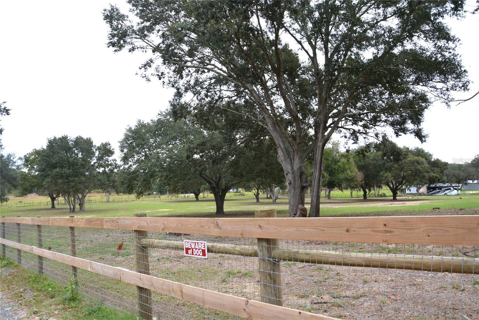 3816 LAKE BRITE ST, GROVELAND, FL, 34736