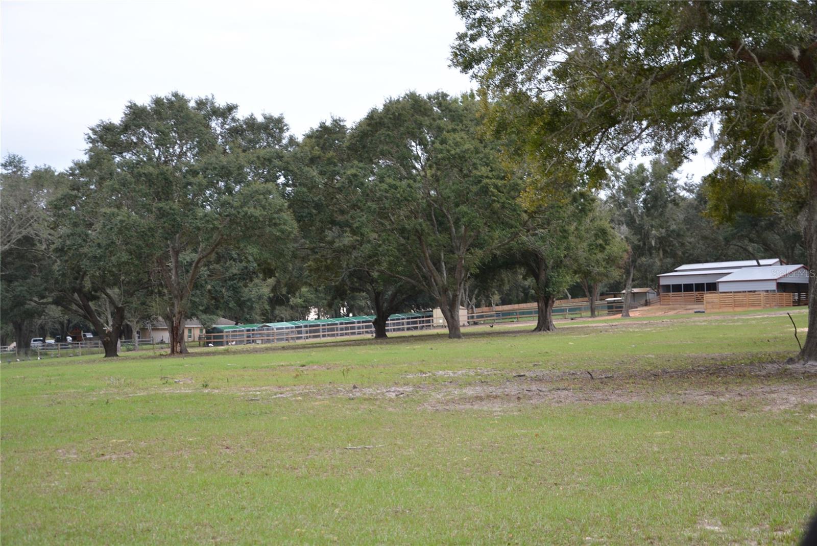 3816 LAKE BRITE ST, GROVELAND, FL, 34736