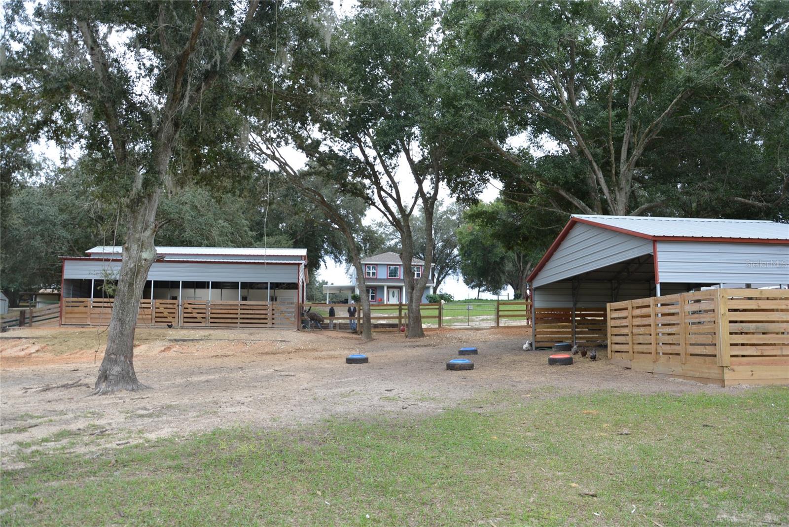 3816 LAKE BRITE ST, GROVELAND, FL, 34736