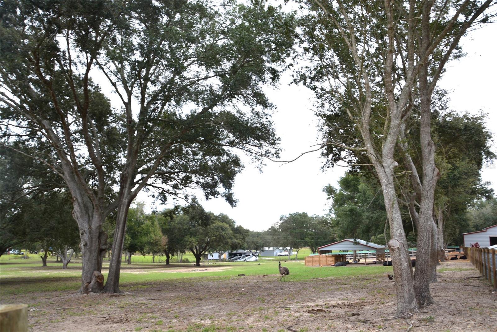 3816 LAKE BRITE ST, GROVELAND, FL, 34736