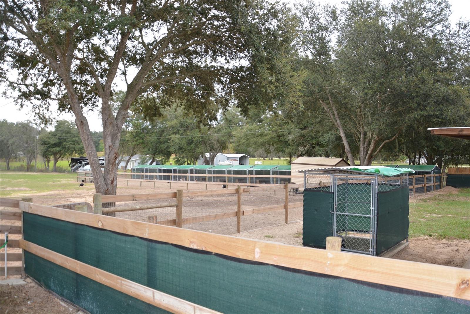 3816 LAKE BRITE ST, GROVELAND, FL, 34736