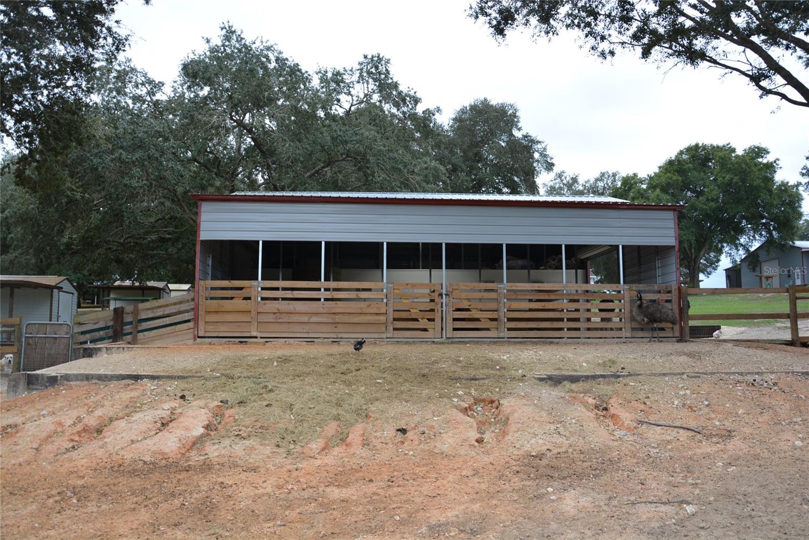 3816 LAKE BRITE ST, GROVELAND, FL, 34736