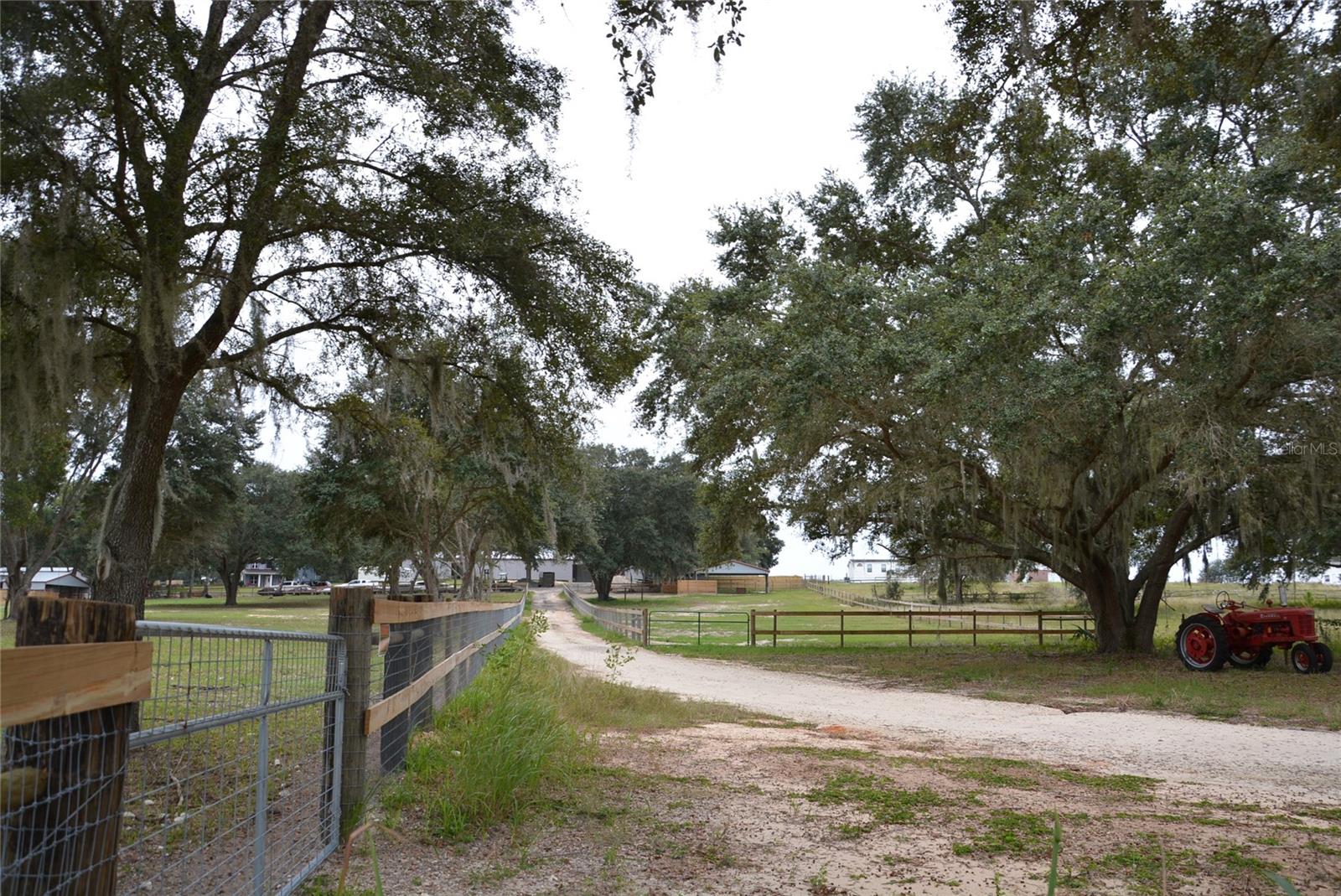 3816 LAKE BRITE ST, GROVELAND, FL, 34736