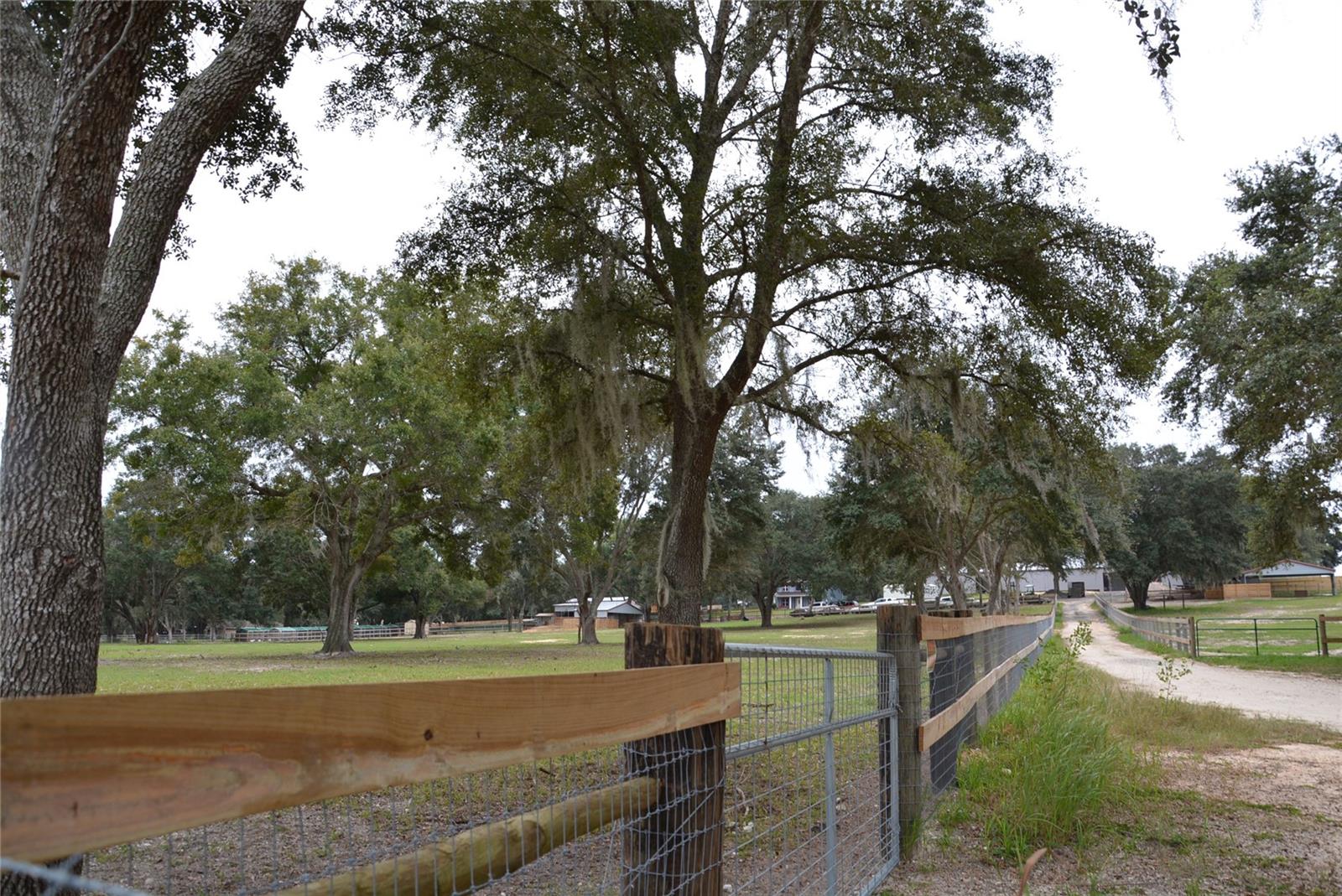 3816 LAKE BRITE ST, GROVELAND, FL, 34736