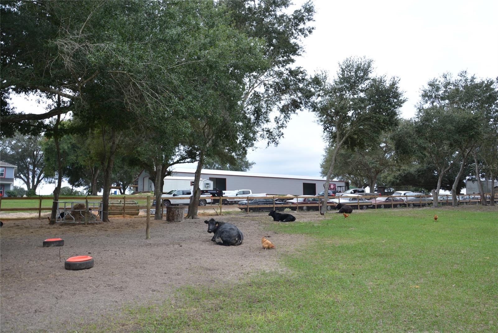 3816 LAKE BRITE ST, GROVELAND, FL, 34736