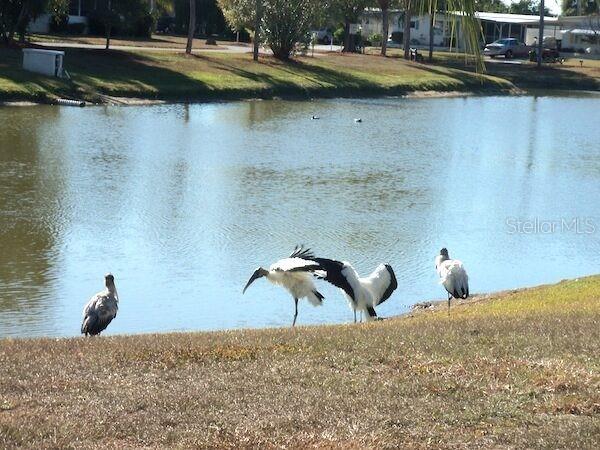 422 BRAVADO, NORTH PORT, FL, 34287