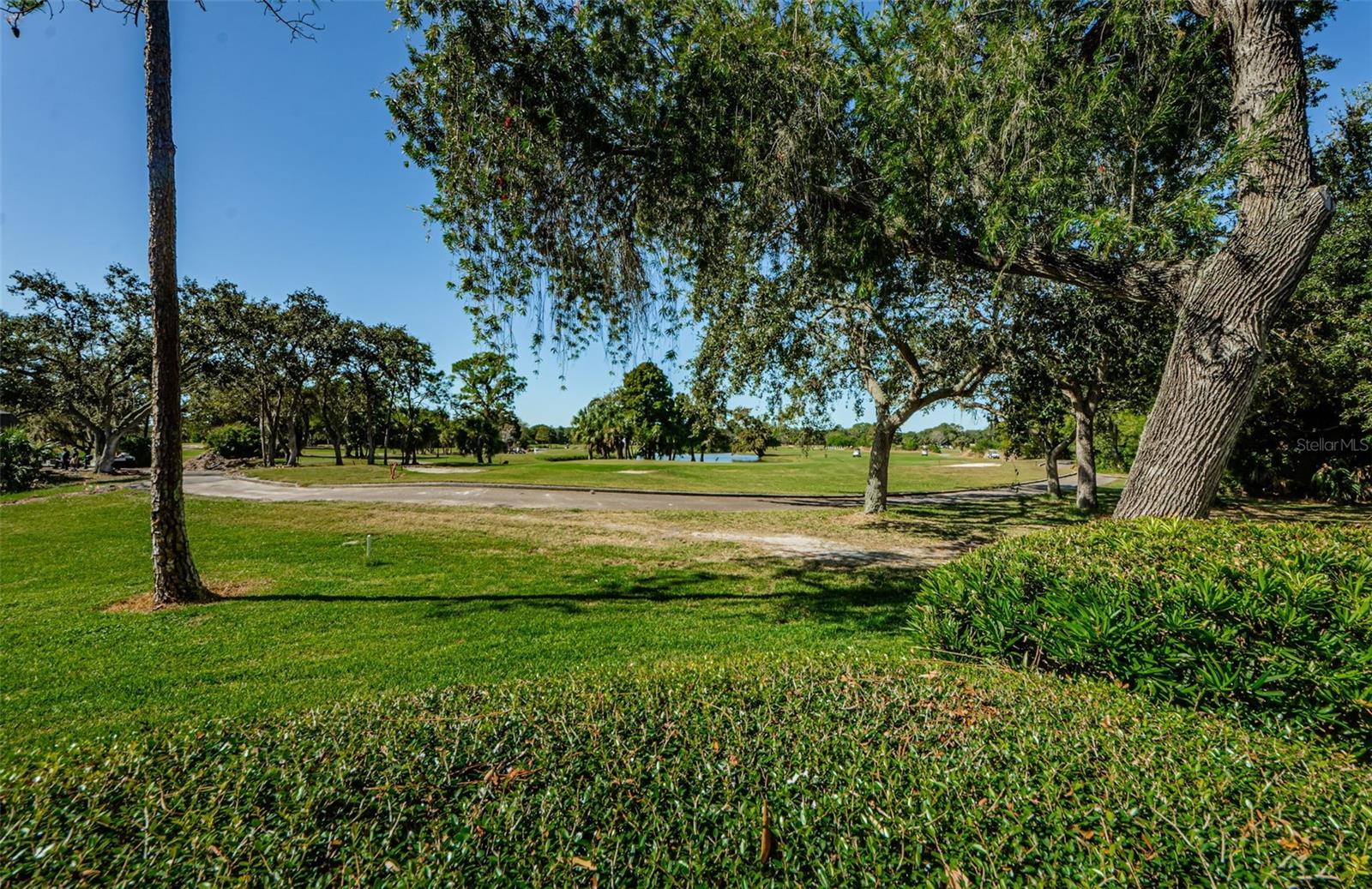 36750 US HIGHWAY 19 N #17-102, PALM HARBOR, FL, 34684