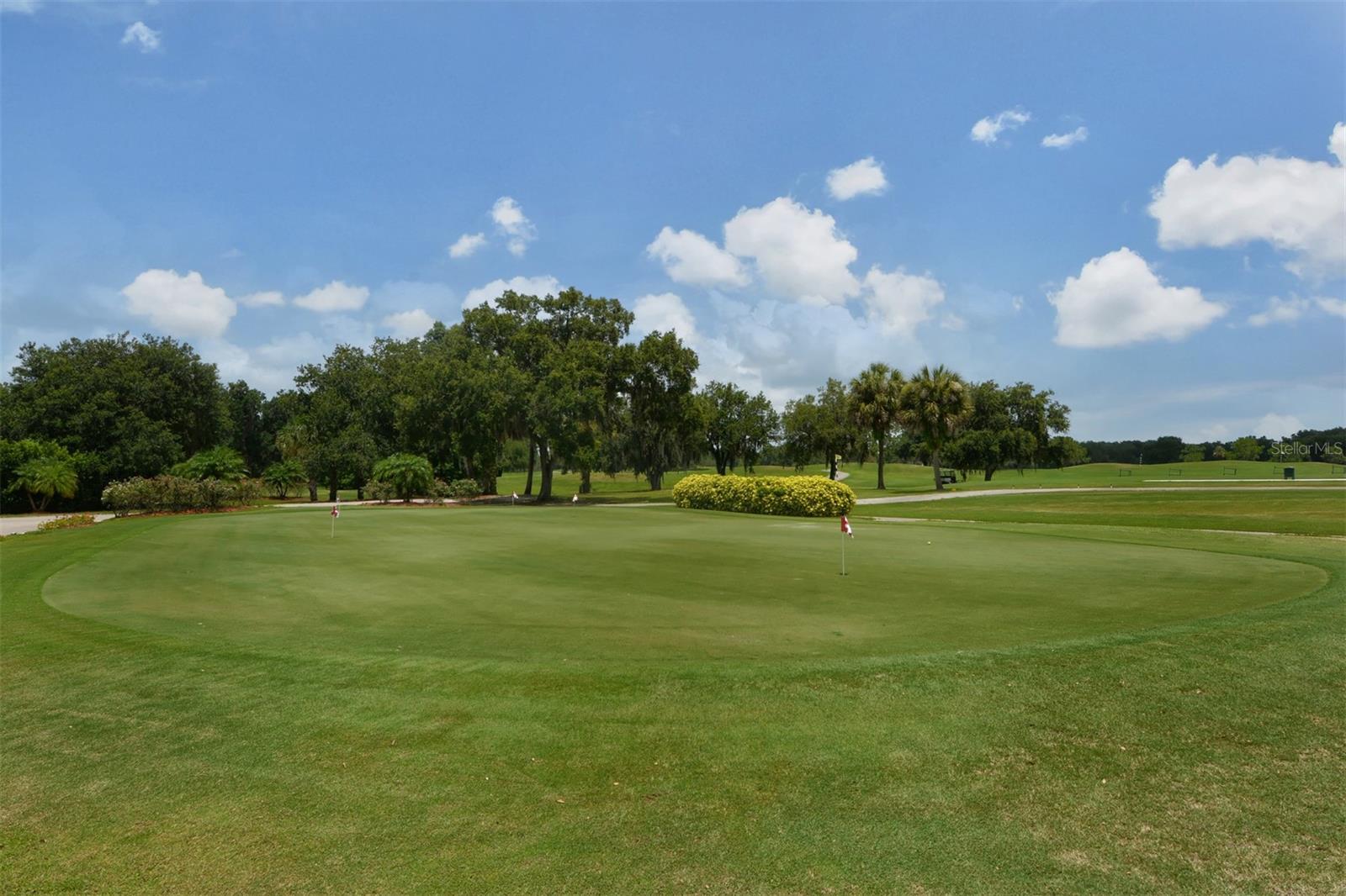 2909 OLD ORCHARD LN, PARRISH, FL, 34219