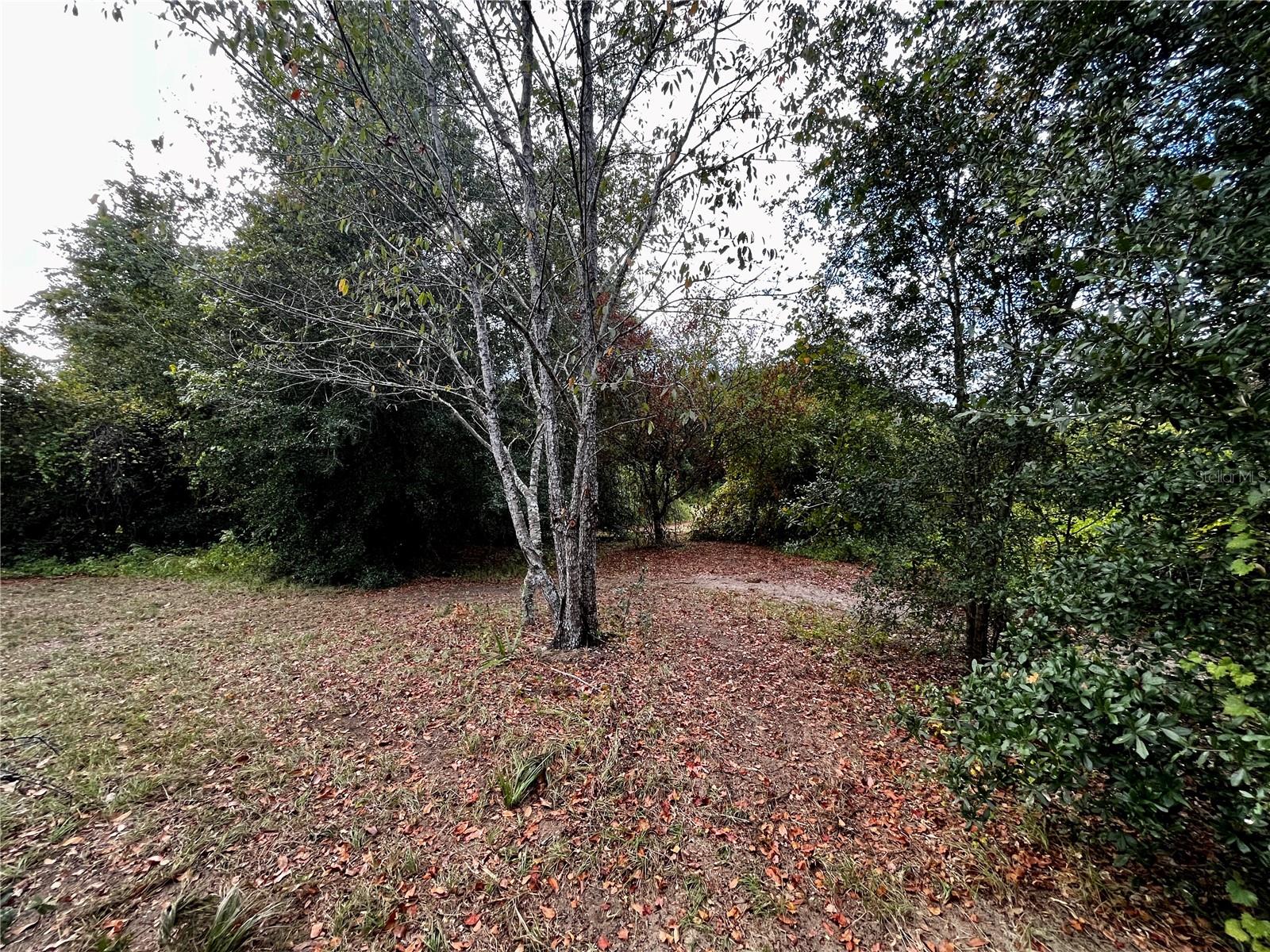 41513 SADDLE RIDGE LN, WEIRSDALE, FL, 32195