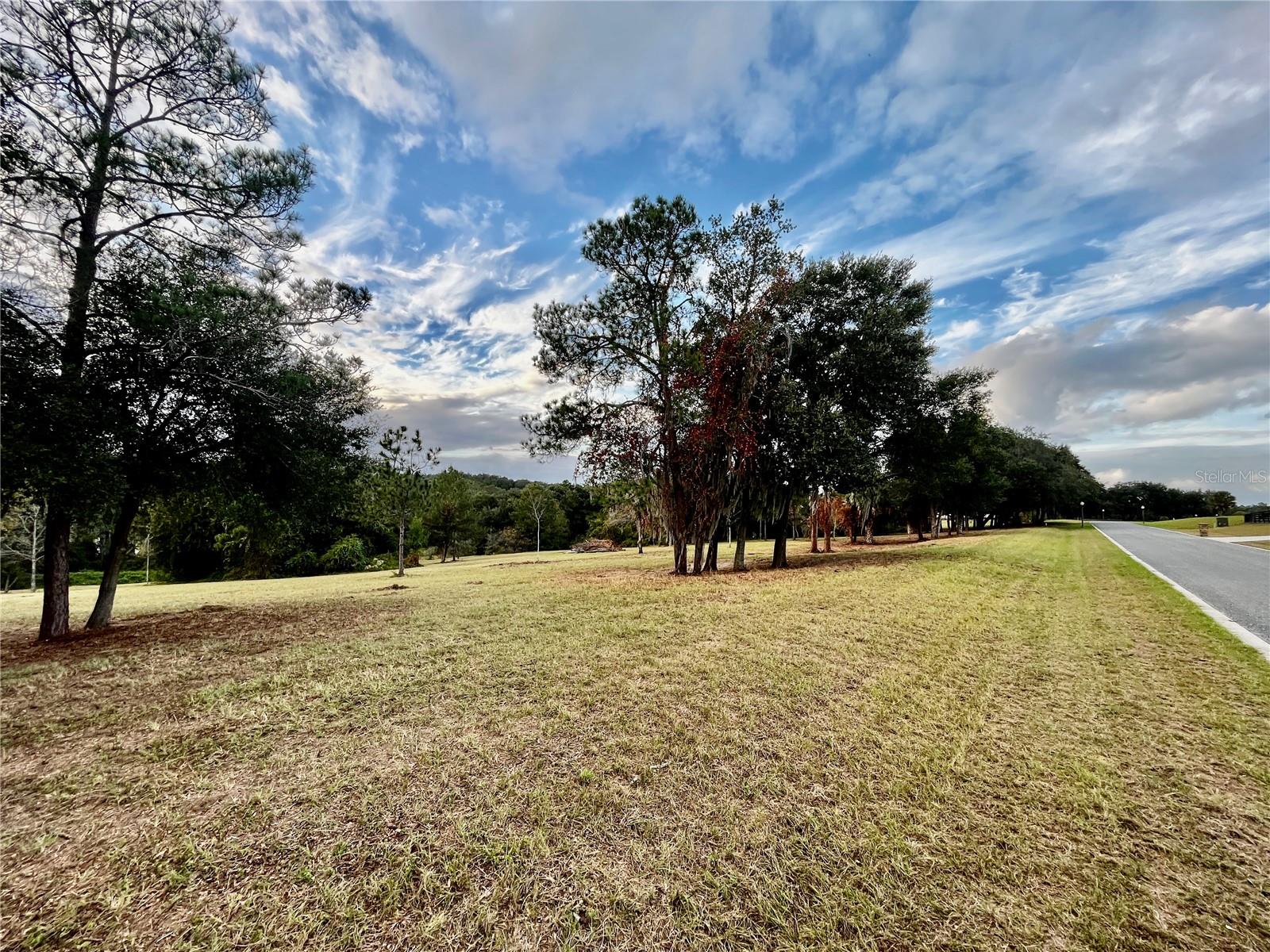 41513 SADDLE RIDGE LN, WEIRSDALE, FL, 32195