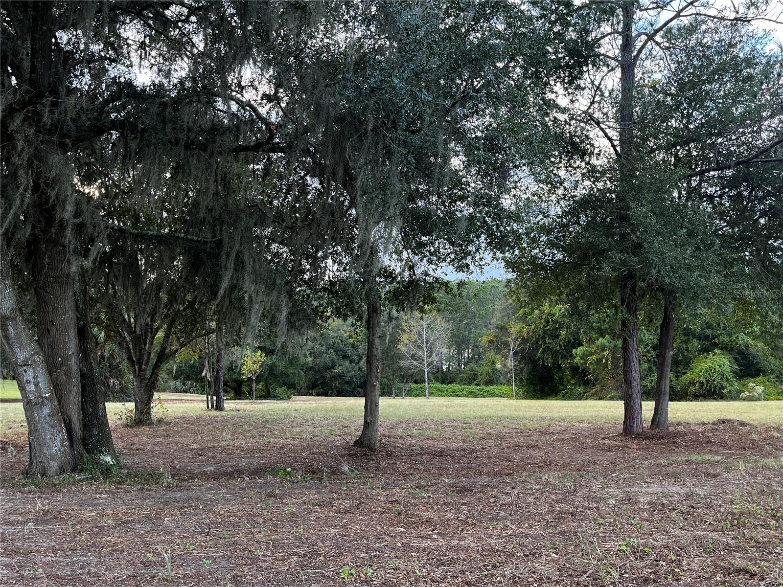 41513 SADDLE RIDGE LN, WEIRSDALE, FL, 32195