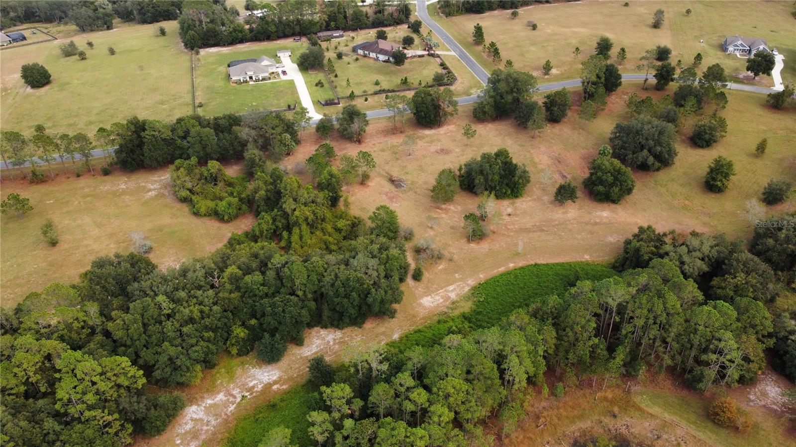 41513 SADDLE RIDGE LN, WEIRSDALE, FL, 32195