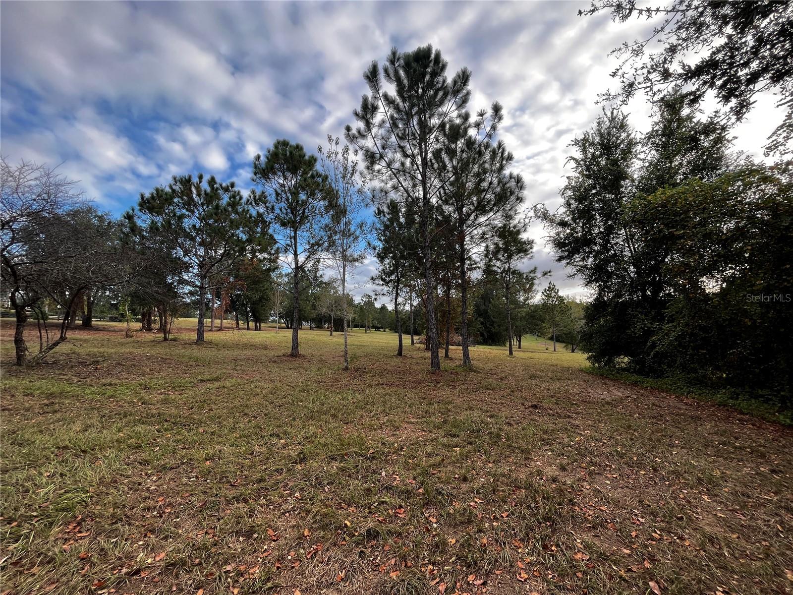 41513 SADDLE RIDGE LN, WEIRSDALE, FL, 32195