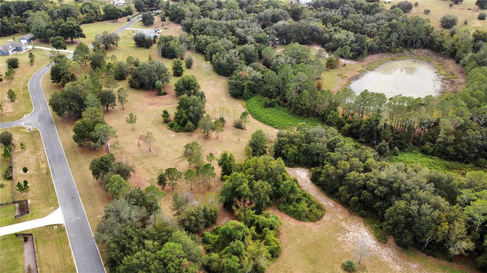 41513 SADDLE RIDGE LN, WEIRSDALE, FL, 32195